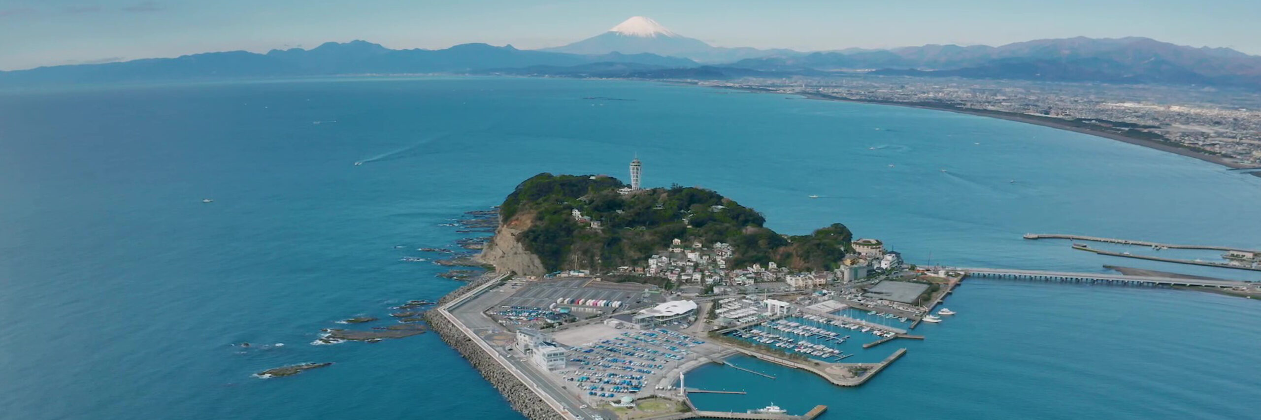 商品情報 | 日本ニーダー株式会社